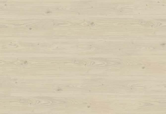 Amerish oak